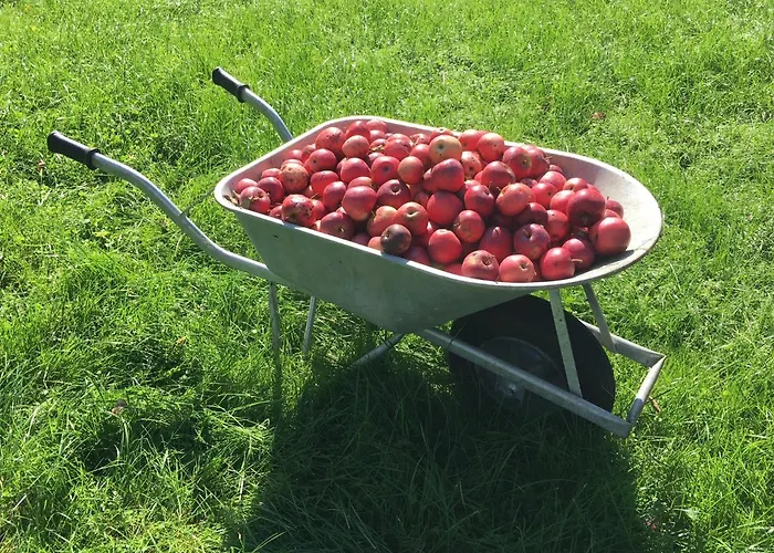 Alpenhof Landhotel Restaurant Oberaudorf